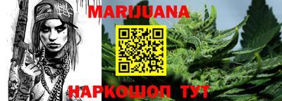 индика Гай