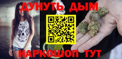 индика Гай