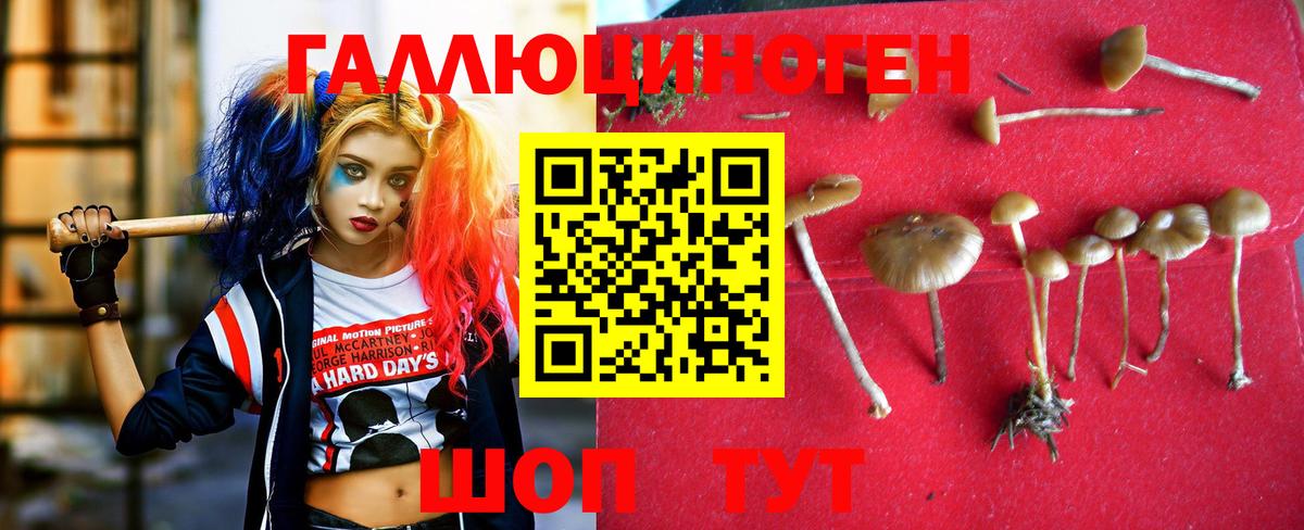 Псилоцибиновые грибы Magic Shrooms Муравленко