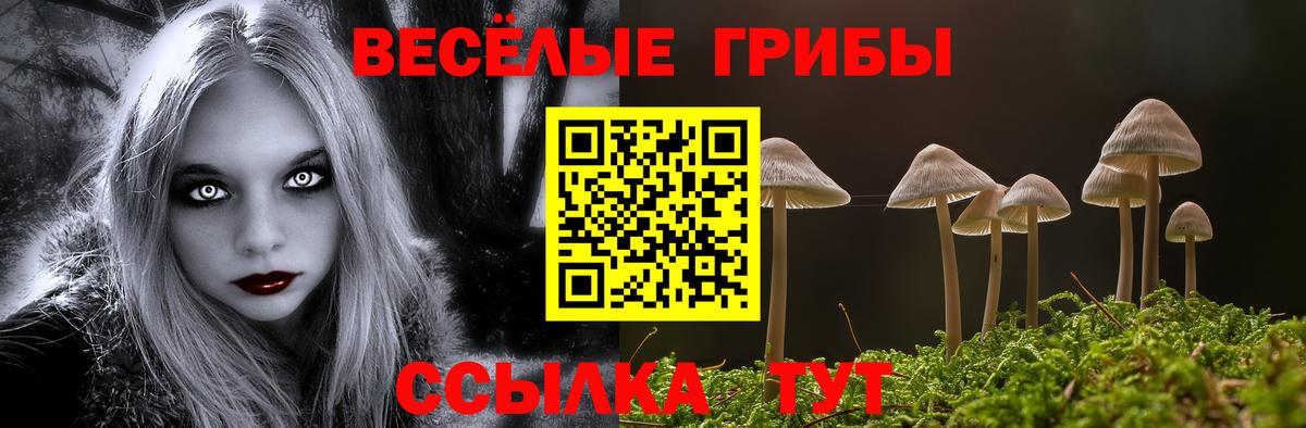 Галлюциногенные грибы прущие грибы Муравленко