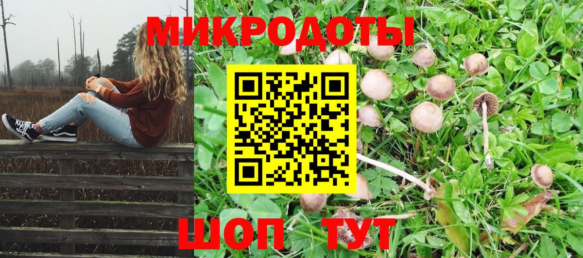 Псилоцибиновые грибы Psilocybe  Вход с VPN  Муравленко 