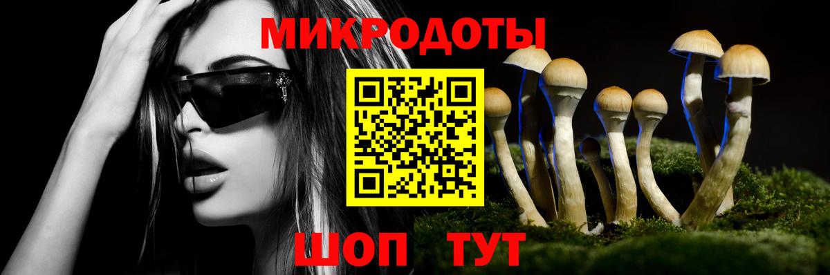 Галлюциногенные грибы GOLDEN TEACHER  Муравленко 