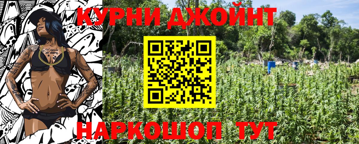 Конопля индика  Канабис Ganja  Марихуана VHQ  Муравленко 